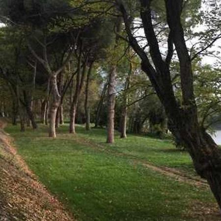 Pisa Appartamento Bonaini Kültér fotó