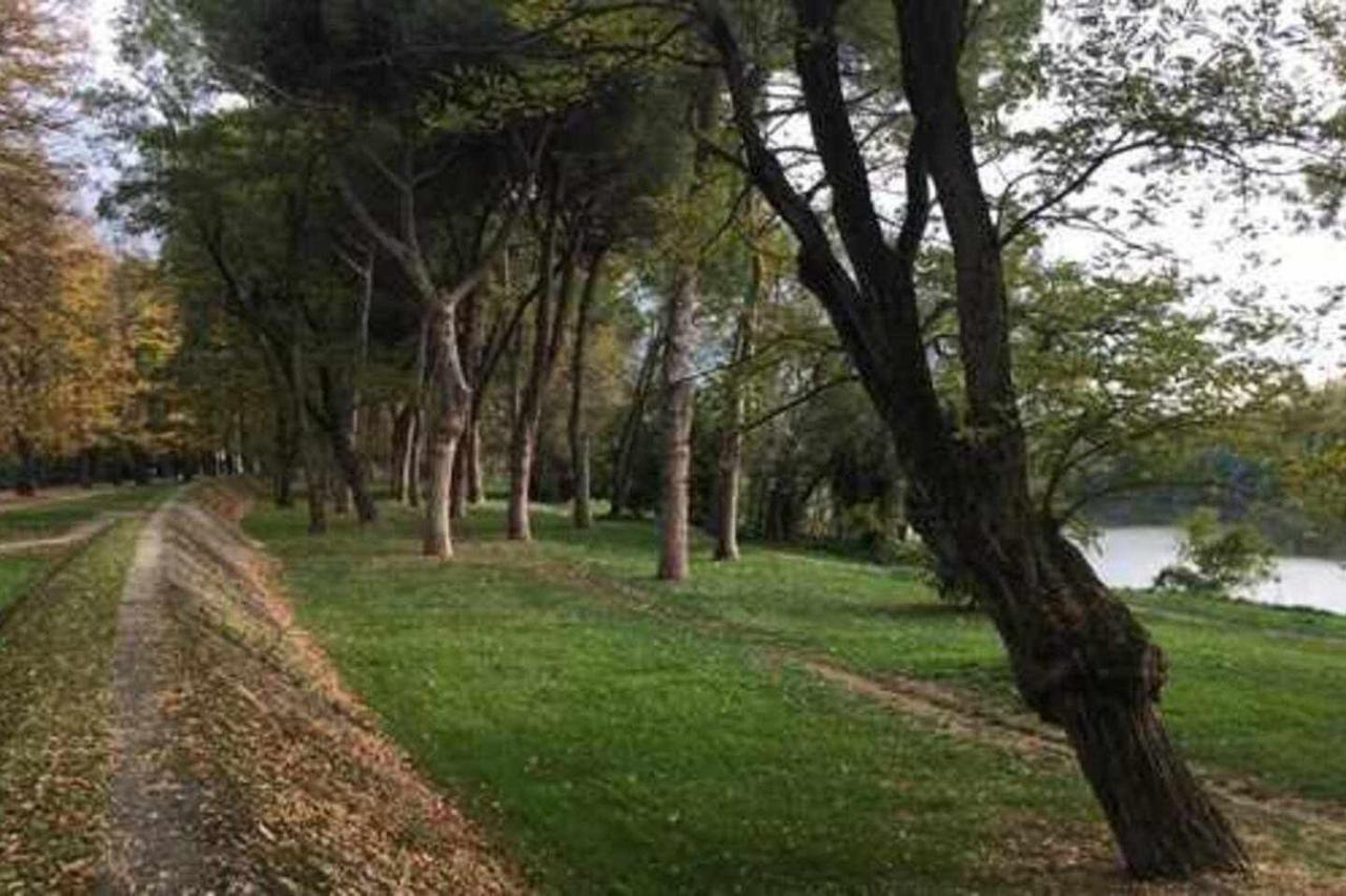 Pisa Appartamento Bonaini Kültér fotó